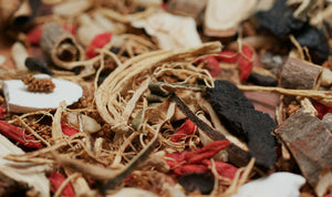 Discover Tastes & Remedies From Across the Globe